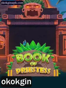 Descubra o Fascinante Mundo de BookOfPriestess: O Jogo Que Une Estratégia e Mistério